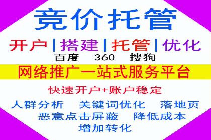 提升转化率：SEM竞价专员的案例研究
